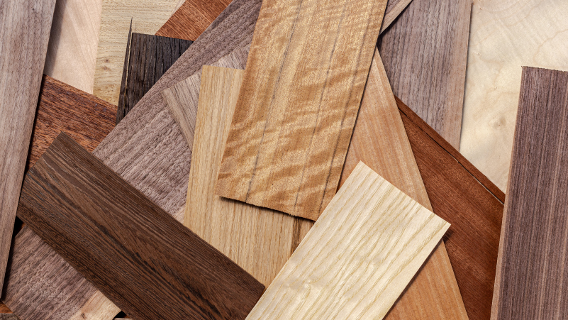 【デザインテーマ】ナチュラルな内装設計をデザインするポイント