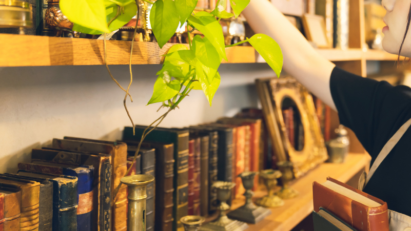 ビンテージな内装設計を実現するアイデア